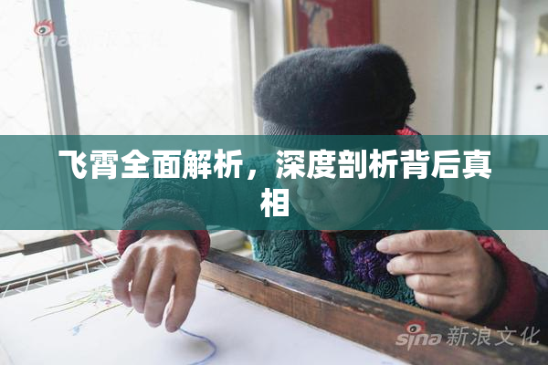 飞霄全面解析，深度剖析背后真相