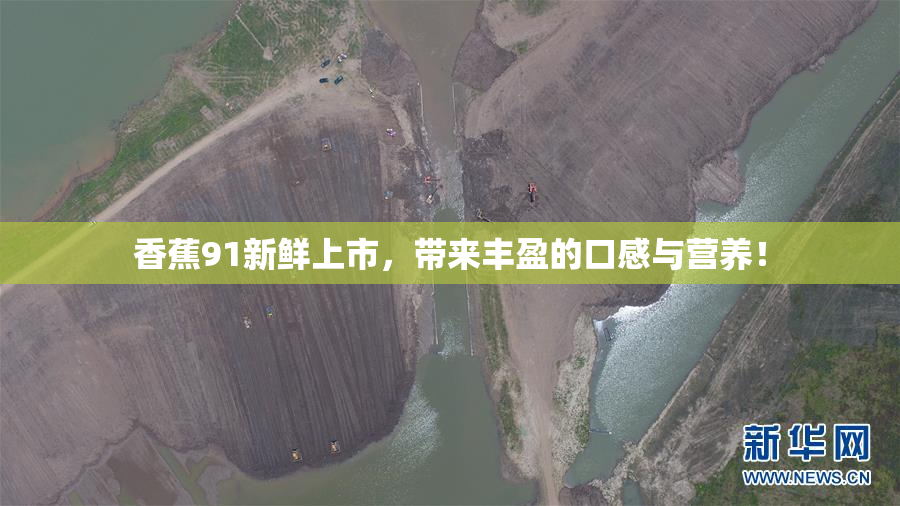 香蕉91新鲜上市，带来丰盈的口感与营养！