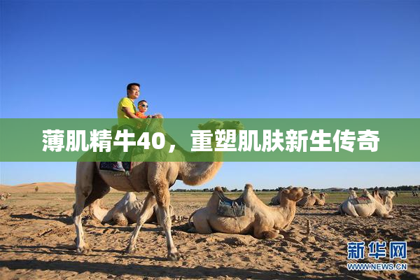 薄肌精牛40，重塑肌肤新生传奇