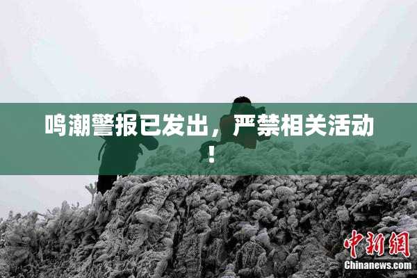 鸣潮警报已发出，严禁相关活动！