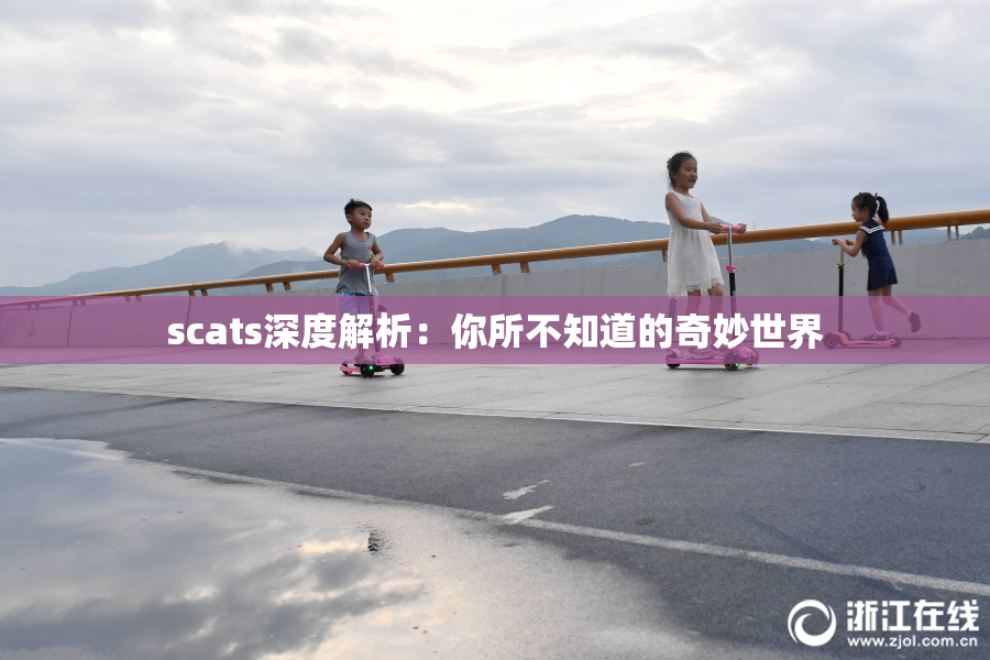 scats深度解析：你所不知道的奇妙世界