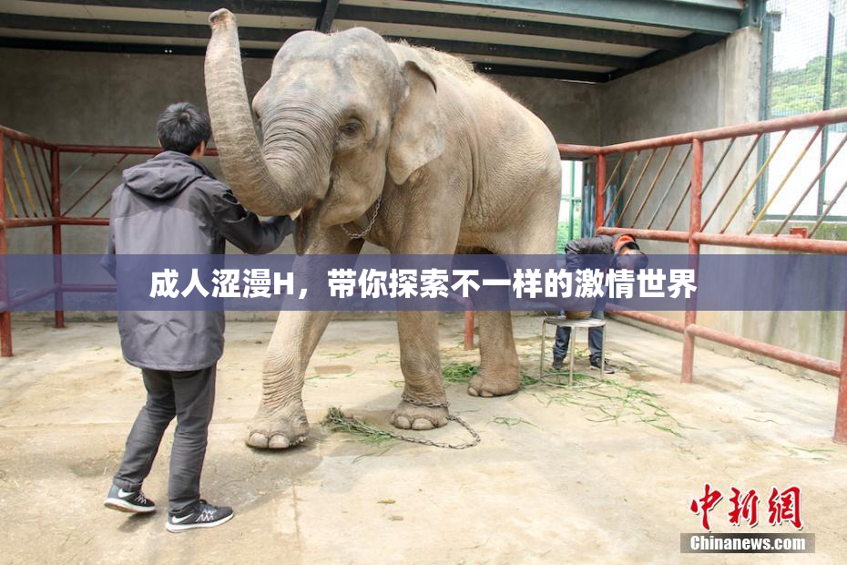 成人涩漫H，带你探索不一样的激情世界