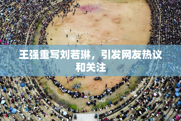 王强重写刘若琳，引发网友热议和关注