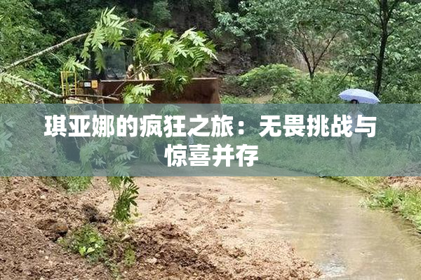 琪亚娜的疯狂之旅：无畏挑战与惊喜并存