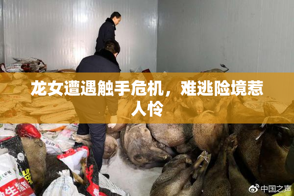 龙女遭遇触手危机，难逃险境惹人怜