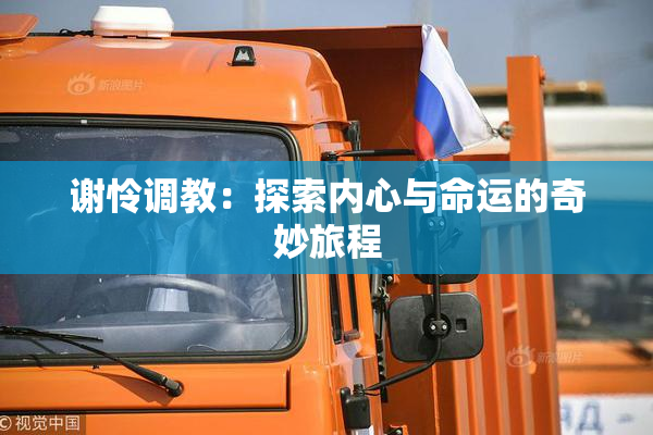 谢怜调教：探索内心与命运的奇妙旅程
