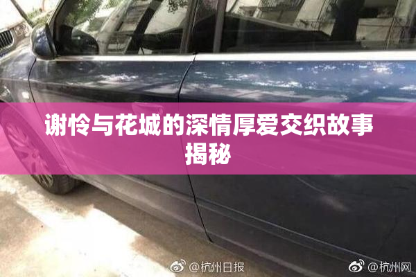 谢怜与花城的深情厚爱交织故事揭秘