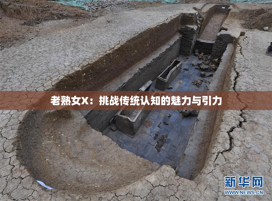 老熟女X：挑战传统认知的魅力与引力
