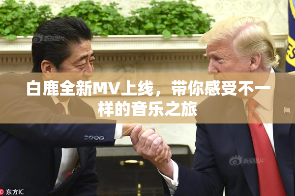 白鹿全新MV上线，带你感受不一样的音乐之旅