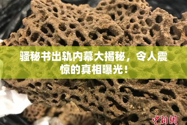 骚秘书出轨内幕大揭秘，令人震惊的真相曝光！