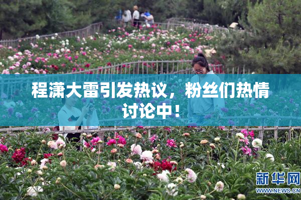 程潇大雷引发热议，粉丝们热情讨论中！