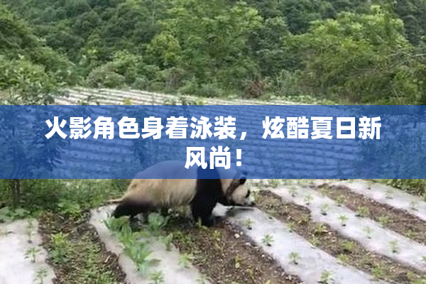火影角色身着泳装，炫酷夏日新风尚！