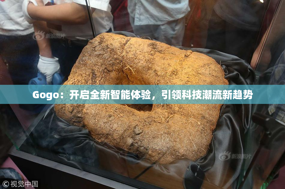 Gogo：开启全新智能体验，引领科技潮流新趋势
