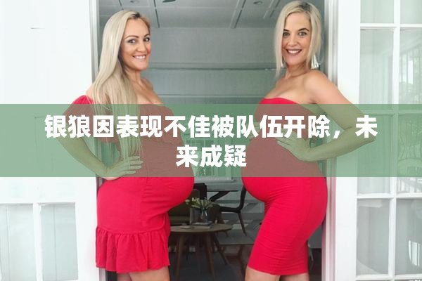 银狼因表现不佳被队伍开除，未来成疑