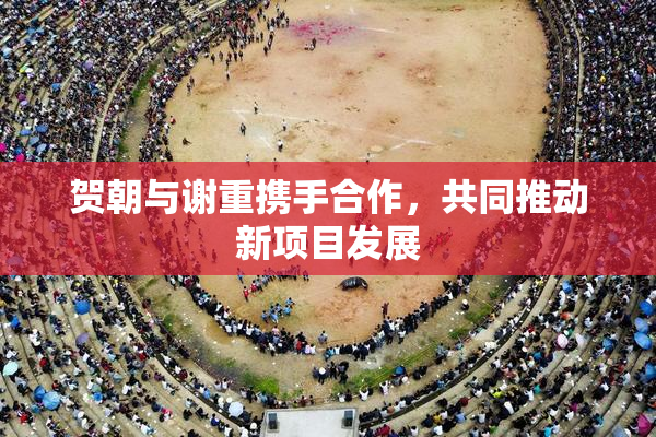 贺朝与谢重携手合作，共同推动新项目发展