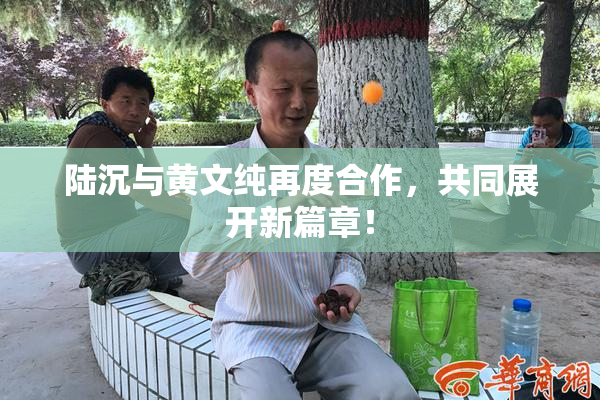 陆沉与黄文纯再度合作，共同展开新篇章！