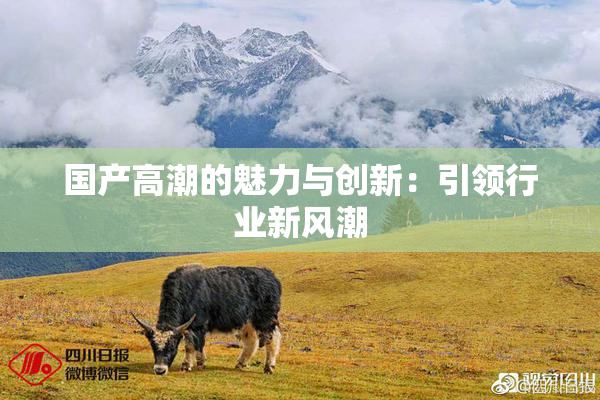 国产高潮的魅力与创新：引领行业新风潮