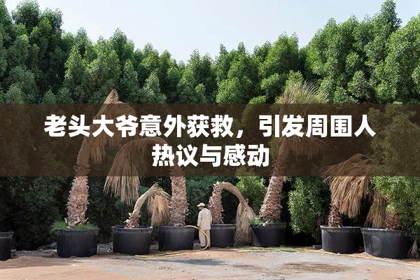 老头大爷意外获救，引发周围人热议与感动