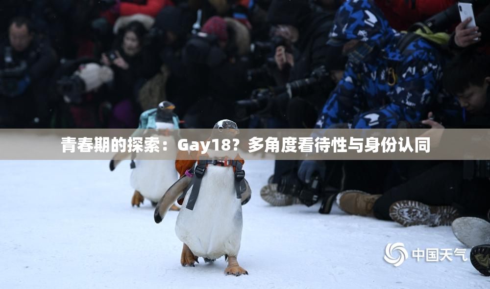 青春期的探索：Gay18？多角度看待性与身份认同