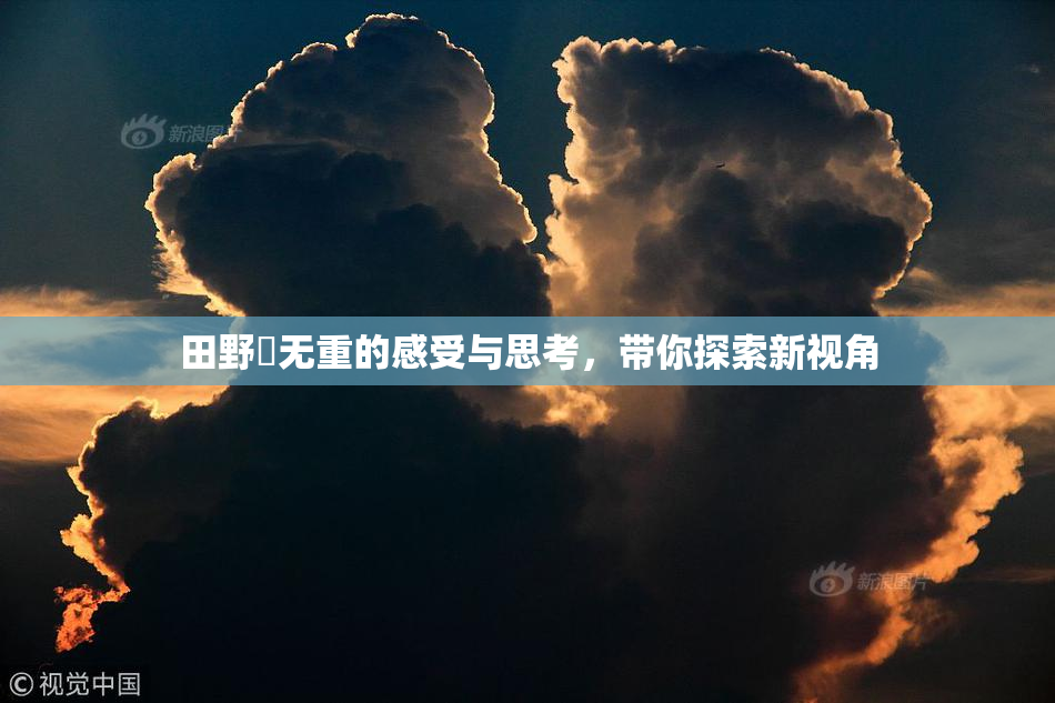 田野憂无重的感受与思考，带你探索新视角