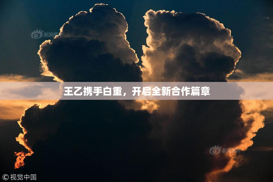 王乙携手白重，开启全新合作篇章