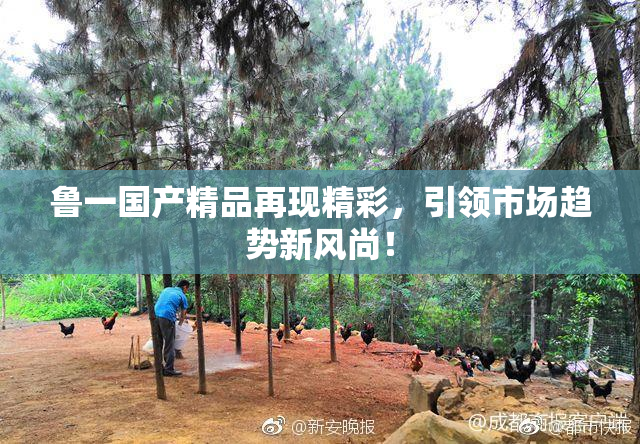 鲁一国产精品再现精彩，引领市场趋势新风尚！