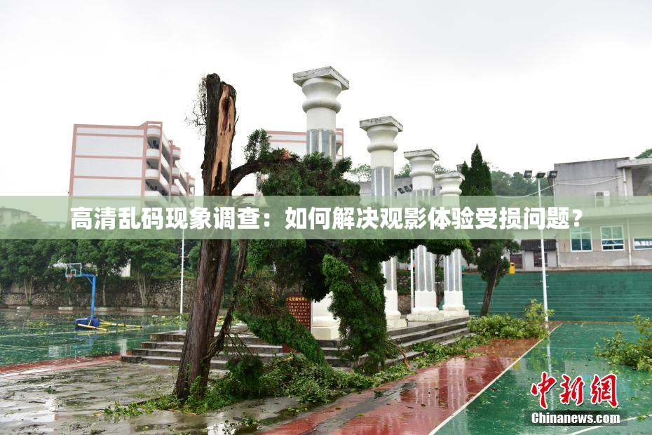 高清乱码现象调查：如何解决观影体验受损问题？