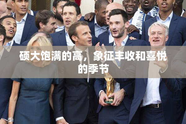 硕大饱满的高，象征丰收和喜悦的季节