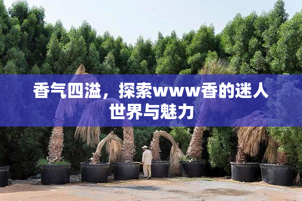 香气四溢，探索www香的迷人世界与魅力