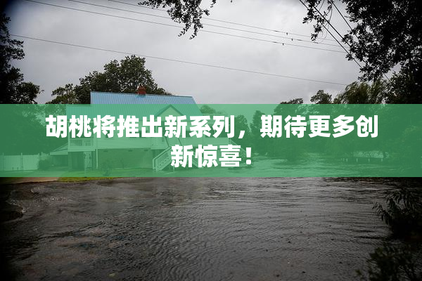 胡桃将推出新系列，期待更多创新惊喜！