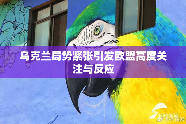 乌克兰局势紧张引发欧盟高度关注与反应