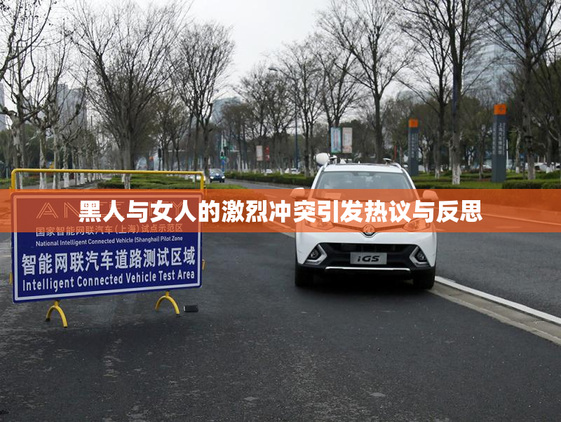 黑人与女人的激烈冲突引发热议与反思