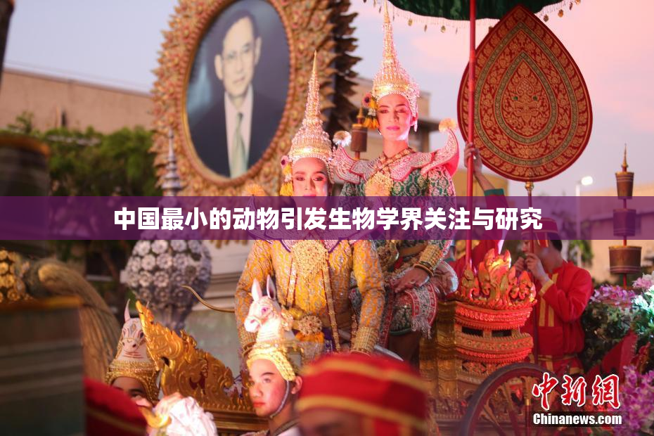 中国最小的动物引发生物学界关注与研究