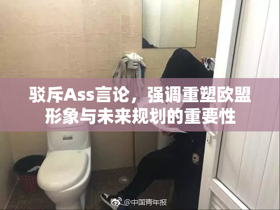 驳斥Ass言论，强调重塑欧盟形象与未来规划的重要性