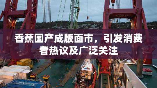 香蕉国产成版面市，引发消费者热议及广泛关注