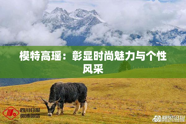 模特高瑶：彰显时尚魅力与个性风采