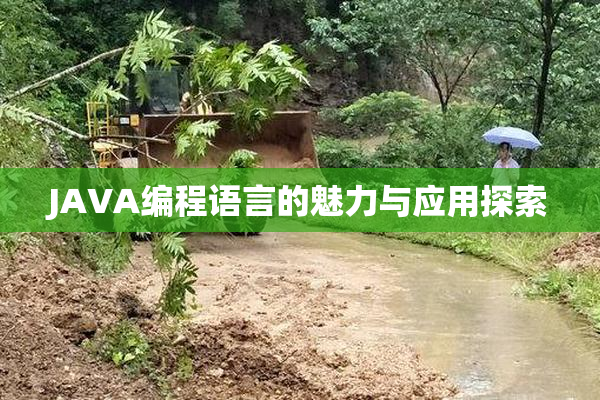 JAVA编程语言的魅力与应用探索