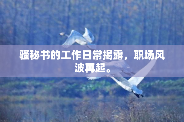 骚秘书的工作日常揭露，职场风波再起。