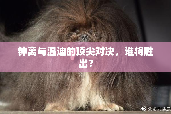 钟离与温迪的顶尖对决，谁将胜出？