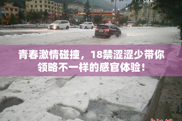 青春激情碰撞，18禁涩涩少带你领略不一样的感官体验！