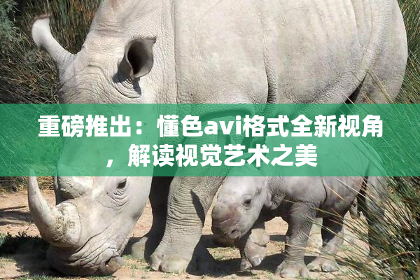 重磅推出：懂色avi格式全新视角，解读视觉艺术之美