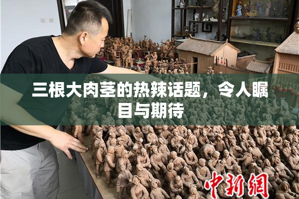 三根大肉茎的热辣话题，令人瞩目与期待