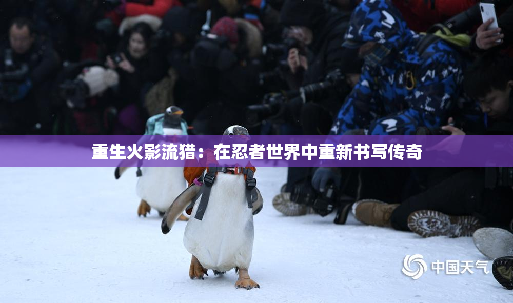 重生火影流猎：在忍者世界中重新书写传奇