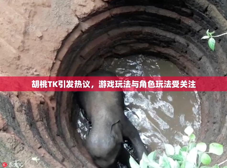 胡桃TK引发热议，游戏玩法与角色玩法受关注