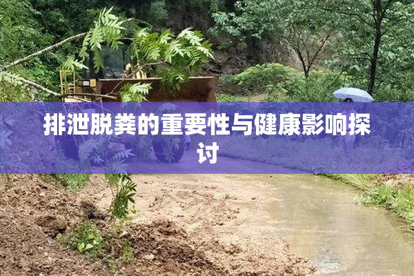 排泄脱粪的重要性与健康影响探讨