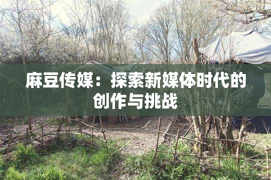 麻豆传媒：探索新媒体时代的创作与挑战