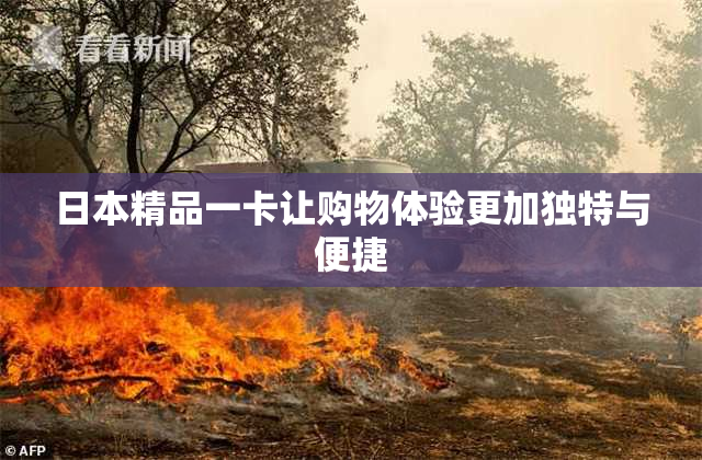 日本精品一卡让购物体验更加独特与便捷