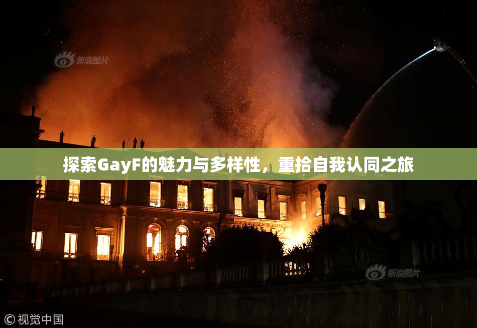 探索GayF的魅力与多样性，重拾自我认同之旅