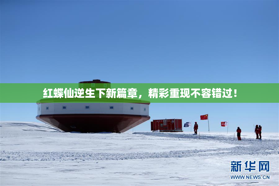 红蝶仙逆生下新篇章，精彩重现不容错过！