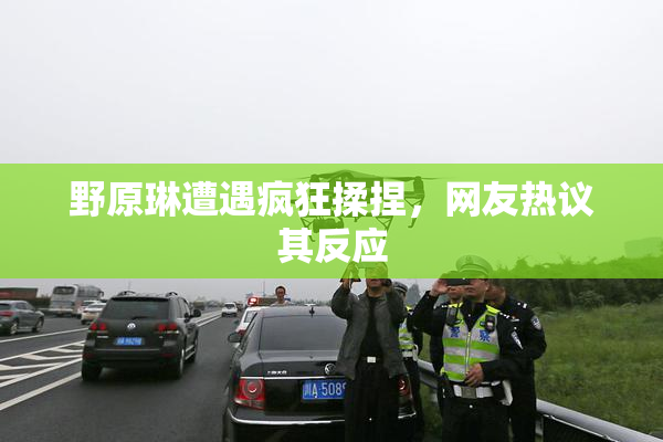野原琳遭遇疯狂揉捏，网友热议其反应